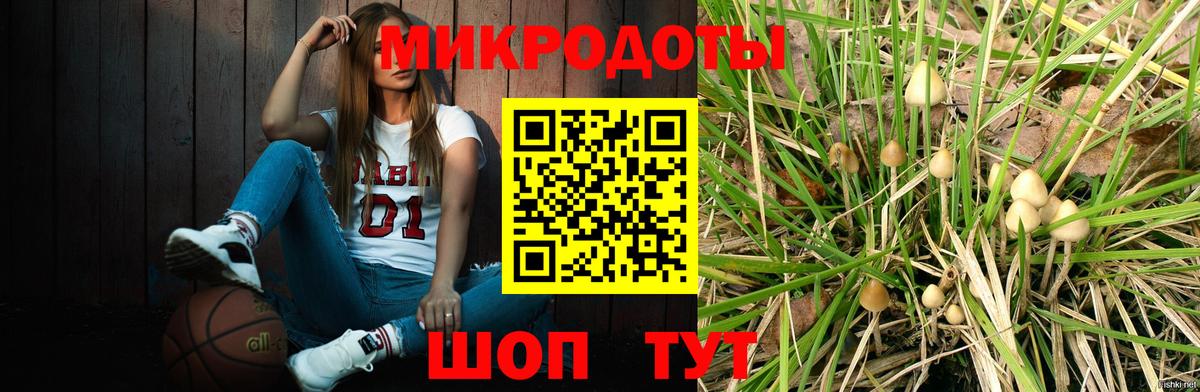 Псилоцибиновые грибы MAGIC MUSHROOMS Пермь